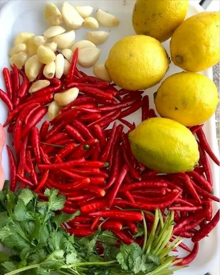 ingrediente proaspete pentru gatit, lamai, ardei iute, usturoi, patrunjel